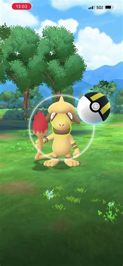 Finally I got my first shiny ✨ Smeargle #pokemon #shinypokemon #pokemongo #pokémon