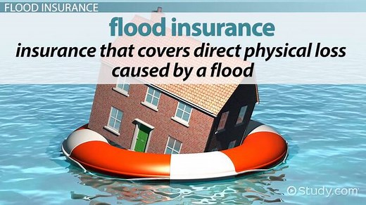 Flood Insurance: Definition, Purpose & Types