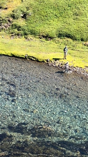 3.5K views · 122 reactions | Big Atlantic salmon running around all the rocks in the pool on river Hölkná Iceland, happy using Mustad hooks when that happens.  @rock_iceland #mustadhooks #looptackle #elevenangling #flyfishing #catchandrelease #mustadfishing #elevenexperience #korkersfootwear #atlanticsalmon #salmonfishing | Vallilax | Facebook