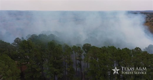 To the Texas A&M Forest Service and TIFMAS personnel who have responded to 22 wildfires burning more than 32,000 acres across the state since Monday, we salute you. Firefighters and aviation resources continue working around the clock to contain these fires and safeguard Texas communities. View the Texas A&M Forest Service active wildfire map here: public.tfswildfires.com | The Texas A&M University System