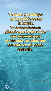 94K views · 1.6K reactions | Te fuiste y el tiempo no ha podido cerrar la herida. Tu ausencia es un silencio que lo dice todo, una despedida que no termina, un adiós que se repite en mi pecho cada día. #TeRecuerdo #duelo #amor #recuerdos #cielo | Siempre Te Recordaré | Facebook