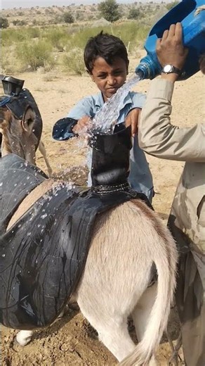 "في صحراء ثار… فتيان يملؤون الأنبوب بالماء بطريقة مذهلة!"