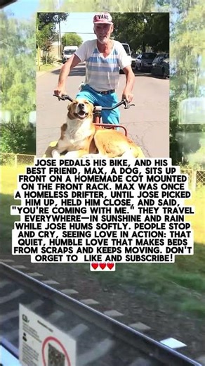 A CYCLIST SAVED A DOG AND NOW THEY ARE BEST FRIENDS