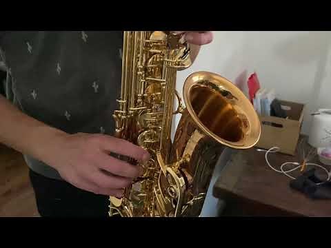 Yanagisawa AWO20 Alto Saxophone Demo