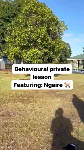 14 reactions | 六‍Private lessons are a great way to get 1:1 personal...