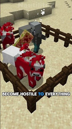 WHAT Is The "JOHNNY" VINDICATOR In Minecraft?