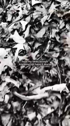 how my head sounds knowing ppl have it worse