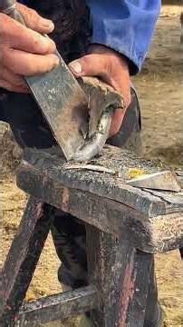 保护动物！帮助毛驴修剪指甲真是太解压了！#Shorts#解压