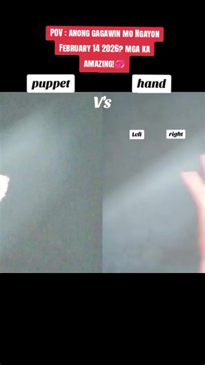 Amazing Valentine's Day Celebration with Puppets