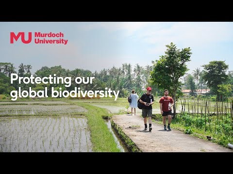 Building a Safer Future Through International Collaboration