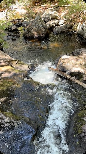 Jennifer Butler on Reels