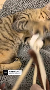 POLLY 🥰 Fortuna che ci sei …🙏 | Balzoo Disabilandia - Progetto Disabili