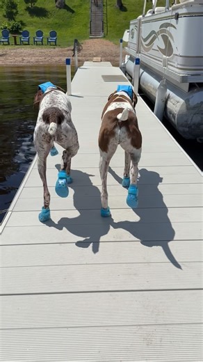 27K views · 9.7K reactions | Bye, Bye, Bye Summer  Wish you could...