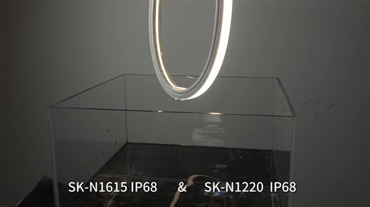 Neon Lighting Ip68 Rgb/Digital Rgb/Single Color/CCT1615 Led Neon Strip Neon Led Light Waterproof Outdoor Light for Swimming Pool