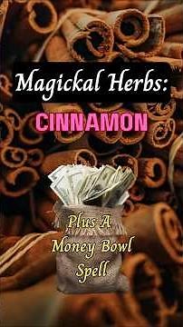 🌿 Magickal Herbs: Cinnamon |Correspondences, Spells & Witchcraft Uses + A Money Bowl Spell