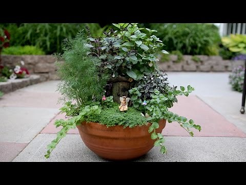 Herb Fairy Garden