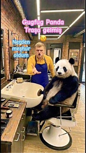 İşte meşhur olmanın bedeli bu #komik #kuaför #komedi #komikvideolar