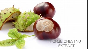 Sisley Paris Neck Cream The Enriched Formula - 50 mL - Anti-Aging Skin Care - Firms, Hydrates & Refines the Neck