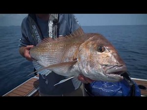 Shimano Speedmaster LD II