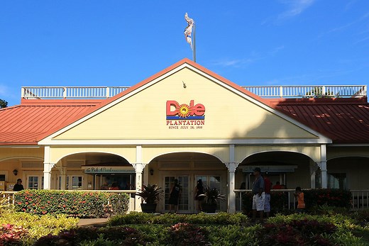 Dole Plantation: How To Visit in Hawaii