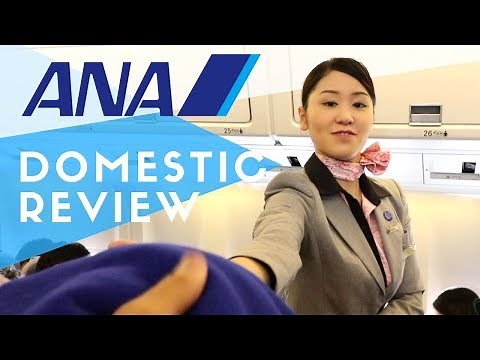 ANA Domestic Flight Review to Tokyo | How Good is it?