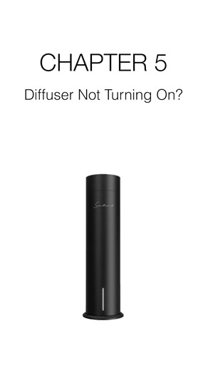 Diffuser Not Turning On