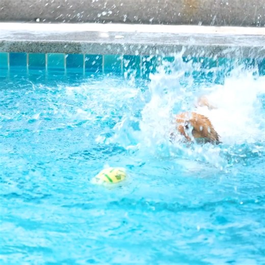 78K views · 26 reactions | The only thing more fun than making a big splash is making a big splash in 혴혢혧혦 water!  Whether you need to upgrade your pool tools, test your water, or restock your shock, we have everything your pool needs for a fun and safe summer ahead. Start your summer prep today: https://bit.ly/3EvgNFx ☀️ #Leslies #WeKnowPools | Leslie's | Facebook