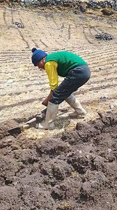 Tío Aurelio trabajando en la chacra bajo, a los pies de las montañas sin acceso a la carretera ni electricidad | Pesca 80