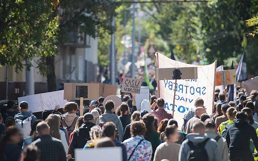 Qué es el Efecto Manada o Efecto Bandwagon