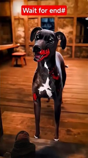 facts video #facts #facts