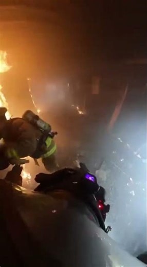 POV:you run out of air in your tank