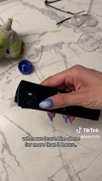 at least it was only dads things .. 🙃 #frenchbulldog #frenchies #frenchiesoftiktok #dogs #funny #dogsoftiktok #fyp