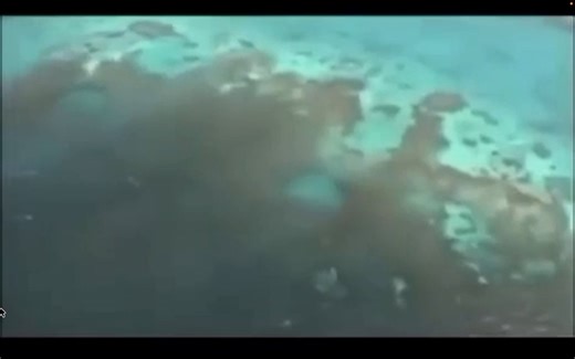 🚨1991, Southeast Bermuda Triangle these scuba divers encounter this ORB under water..It moves at a speed like it isn't affected by the water around it!!