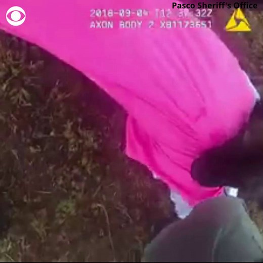 Don't mess with Shep: A K9 officer bolted after a fleeing suspect and held him until his deputy could put on handcuffs https://cbsn.ws/2PGT357 | CBS News