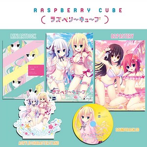 Raspberry Cube (First-print Limited Edition) for PlayStation 4