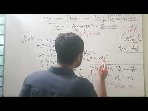Cournot Aggregation Condition | Consumer Preference | Advanced Microeconomics