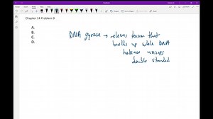 SOLVED:Which of the following antimicrobials inhibits the activity of DNA gyrase? a. polymyxin B b. clindamycin c. nalidixic acid d. rifampin