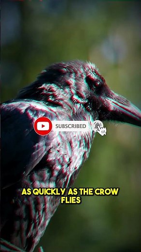 Saint Lucia: The Most Beautiful Place in Caribbean | Wonders of Saint Lucia