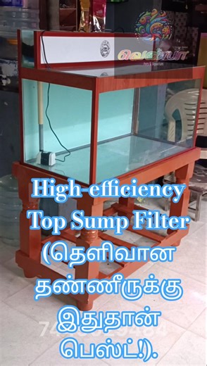 Maintenance Free-ஆன Top Sump Filter செட்டப்! | 3 அடி கஸ்டமைஸ்டு அக்குவாரியம்#venbapets #fish #salem