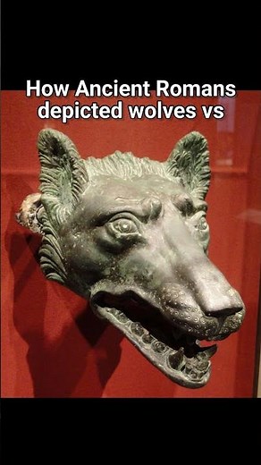 Ancient Roman Wolves vs Medieval Wolves