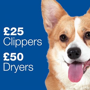 ⭐ TRY BEFORE YOU BUY ⭐ Are you looking a new Clipper or Blaster but don't know what to choose? Here at Christies Direct, we have a try before you buy service. The benefits of this service are: ✔️ You have the clipper/blaster for a full week ✔️You get first-hand experience with the item ✔️We organise delivery and collection for you ✔️We will call you to see how you are getting on ✔️We offer advice on the operating of the product Trail Clippers Cost - £25.00 and Dryer-Blasters Cost £50.00. Sound g