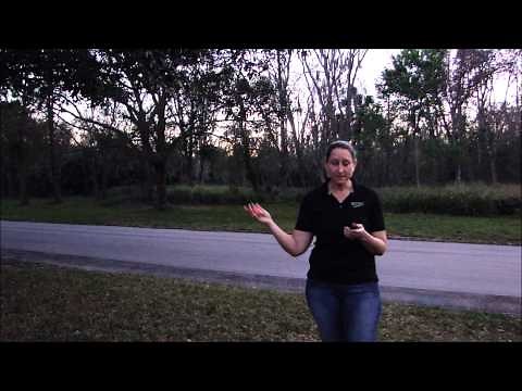 Pepper Spray Demo, Fogger vs. Streamer