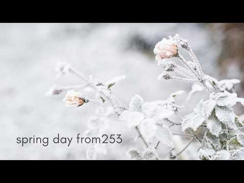 [1Hour] BTS - Spring Day | Piano Interpretation from253