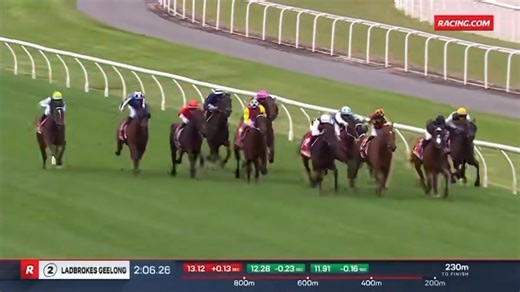 206 reactions · 4 comments | Azazel (SHOCKING) takes out the Listed Geelong Classic for the powerhouse team of Te Akau and OTI Racing  A brilliant result for his sire SHOCKING, who now boasts 26 individual stakes winners! This talented 3YO will now head to the Victoria Derby - the race he was purchased for. Azazel was a $140,000 purchase from the New Zealand Bloodstock Ready to Run Sale. | Rich Hill Stud | Facebook