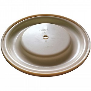 [Hot Item] 2'' Diaphragms Pump Replacement Repair Kit Part Rubber Hytrel Diaphragm 189295