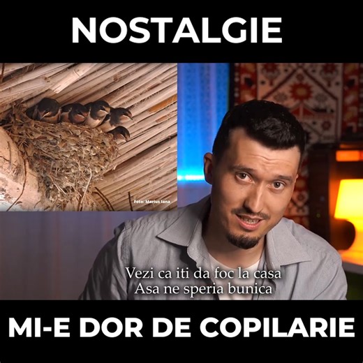 Nostalgie 2. | Anisia Gafton