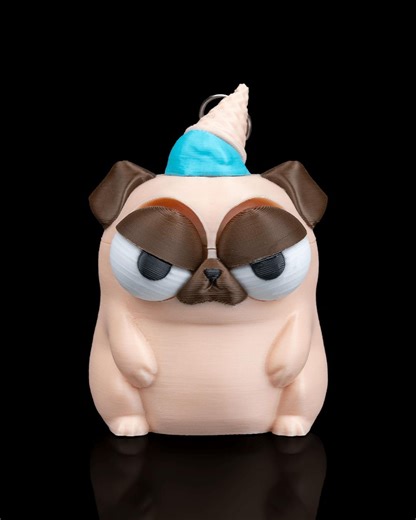 New Cone of Shame Keychain - Etsy