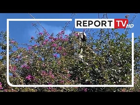 Rrezikohet Pema e Piperit mbjellë nga Naim Frashëri, godina historike në flakë