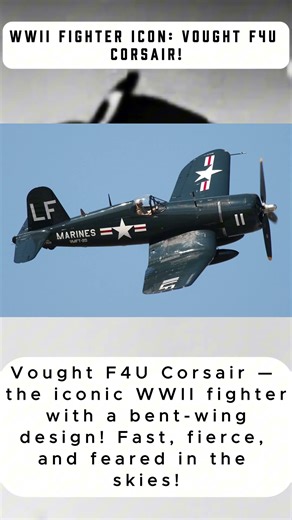 WWII Fighter Icon: Vought F4U Corsair! #history #ww2 #documentary