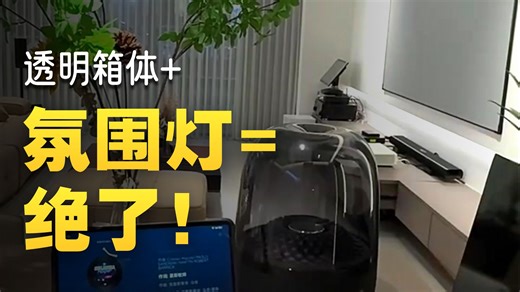 【便携音乐伴侣推荐】无线沉浸音效体验